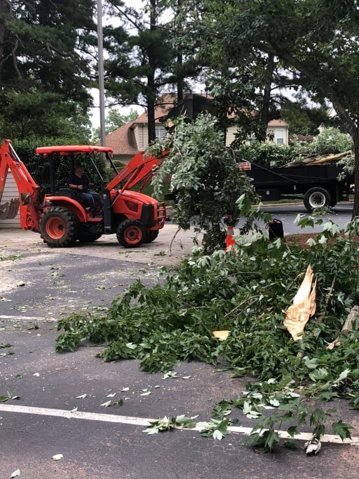 Tractor and dump truck hauling away tree debris