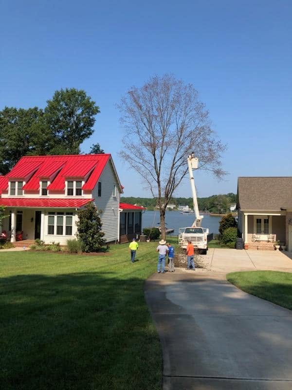 Bucket truck working on a tall tree by a lake house